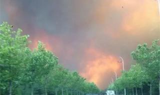 仙姑顶大火 仙姑顶大火